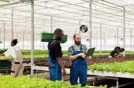 All-in-One Grower Management Software for Greenhou, Portland