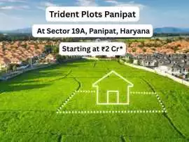 Trident Realty Plots Sector 19A Panipat Homes, Panipat