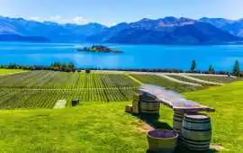Apply New Zealand Visa