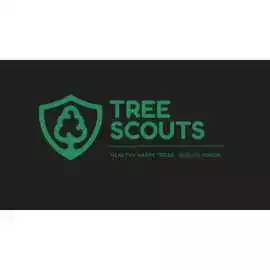Tree Scouts Tree Service Austin, Austin