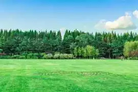 Westerville Lawn Mowing Pros – Call Now, Columbus