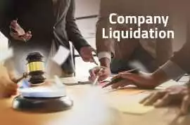 Company Liquidation Services - , Dubai