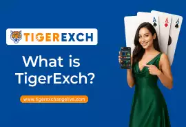 Tiger Exchange -- Latest Blogs, Gonda City
