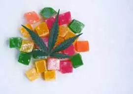 Peach Honey CBD Gummies with THC-Free, Vegan-Frien, Accord