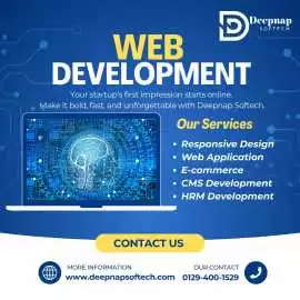 Web Development Company Faridabad, Faridabad