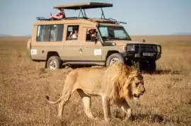 Affordable Budget Camping Safari Kenya | Lush Afri