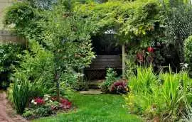 Expert Francisco Lawn and Landscaping Services – T, $ 0