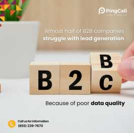 Increase your business revenue with Ping Call , New City