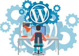 Get Custom WordPress Development Services in India, New Delhi