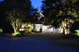 Landscape Lighting For Trees, Austin