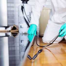 Effective Pest Control Services in Malaysia, Petaling Jaya