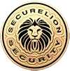 Security Guard Services Near Pleasanton, Pleasanton