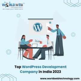 Top WordPress Development Company in India 2023, Dover