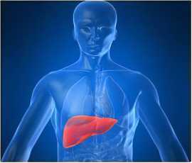 Most Exclusive Liver Transplantation in India, Gurgaon