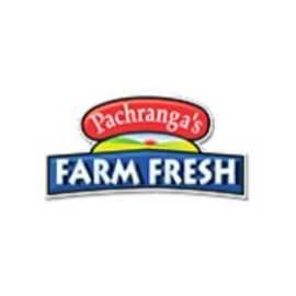 Preserving Tradition: Pachranga , Haryana