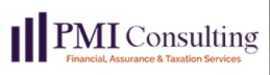 PMI Consulting Offers Accounting Services In Dubai, Dubai