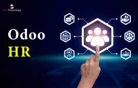 Odoo HR | Balj Technology, New York