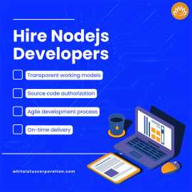 Hire Dedicated Node js Developers Houston, USA, Los Angeles