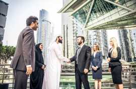 Advocate Legal Consultant, Dubai