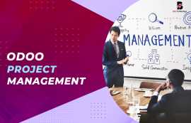 Odoo Project Management | Balj Technology, New York