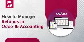 How to Manage Refunds in Odoo 16 Accounting, New York