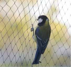 anti bird nets in bangalore, Bengaluru