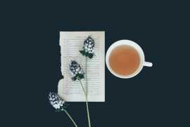 3 Ballerina Tea for Weight Loss, Ahmedabad