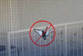 Pigeon safety nets for balconies in bangalore, Bengaluru