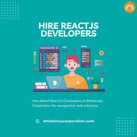 Hire ReactJS Developers Washington, USA, Colorado City
