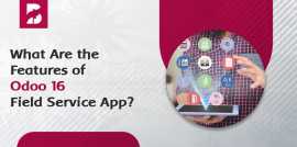 What Are the Features of Odoo 16 Field Service App, New York