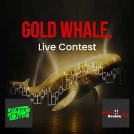 Gold Whale, Live Contest – ForexChief, New York