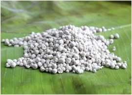 Silicon Fertilizers: The Future of Farming, ps 0