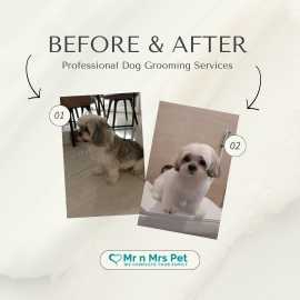 Dog Groomers in Bangalore: Dog Baths, Haircuts, Na, Bengaluru