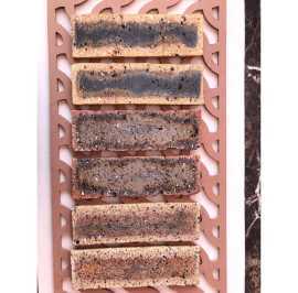 Cladding Bricks - Transform Your Home's Loo, ps 1