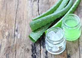 Incorporating Aloe Vera Juice Into Your Diet, Spring Hill
