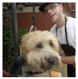 PawCare Integration with DSPA Grooming – A Seamles, Chicago