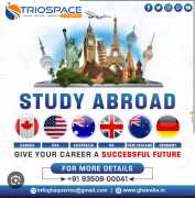Study in New Zealand Education Consultants in Hyde, Hyderabad