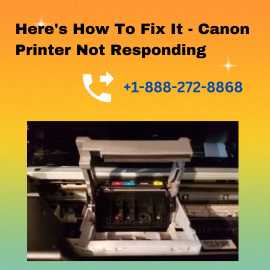 Here's How To Fix It -Canon Printer Not Responding, Haltom City