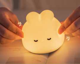 Bunny Lamp in Australia - Illuminating Homes, Sydney