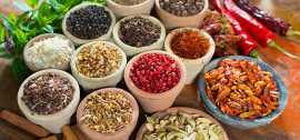 Understanding Ayurvedic Medicine: An Overview, Jaipur