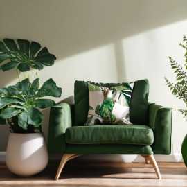 India's First Biophilic Lifestyle Brand - Lushlyf, Bengaluru