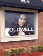 Transform Your Space with Custom Wall Murals, Menomonee Falls