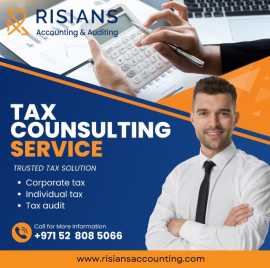 Tax Agent in Dubai, Dubai