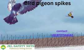 Pigeon safety nets in bangalore, Bengaluru