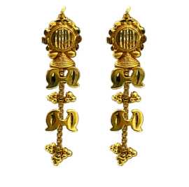 Fashionable Long Stem Design Earrings  , $ 8