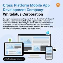 Cross Platform Mobile App Development Company, California City