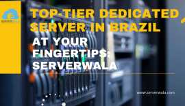 Top-Tier Dedicated Server in Brazil at Your Finger, Amatura