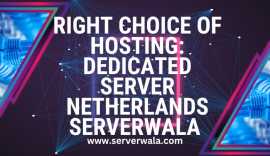 Right Choice of Hosting: Dedicated Server Netherla, Aduard