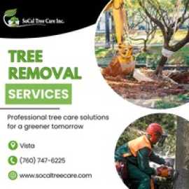 Tree Removal Services in Vista, San Diego