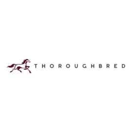 Thoroughbred, Baltimore